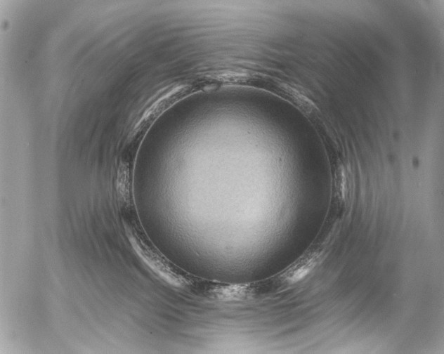 X0000053050092200507251434