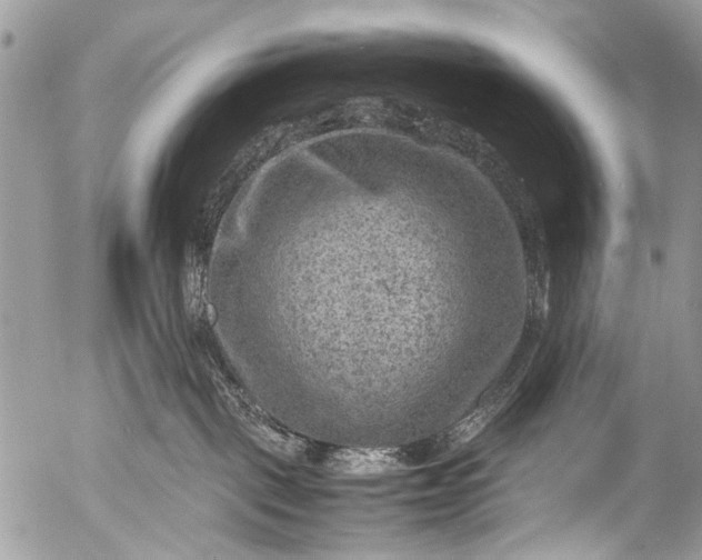 X0000053050093200507251434