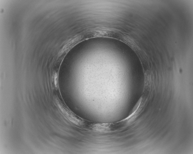 X0000053050094200507251434