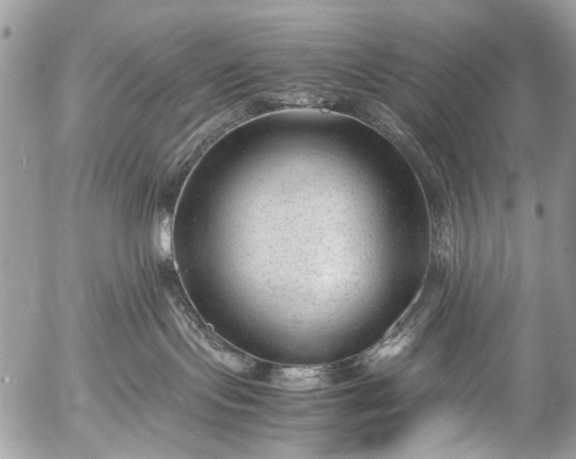 X0000053050095200507251434