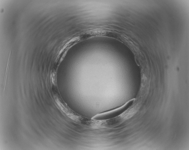 X0000053050096200507251434