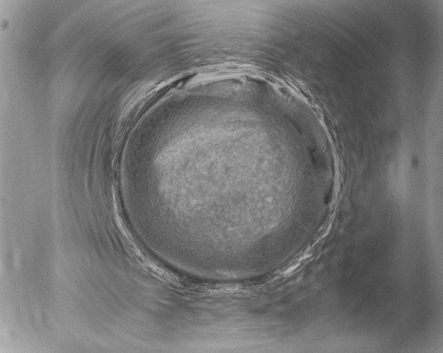 X0000053050097200507251433