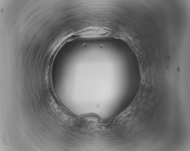 X0000053050098200507251433