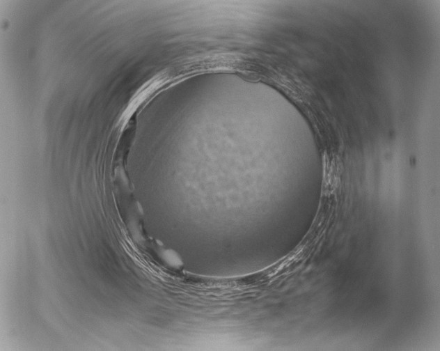 X0000053050099200507251433