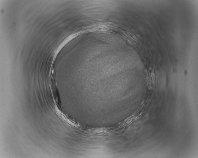 X0000053050100200507251433