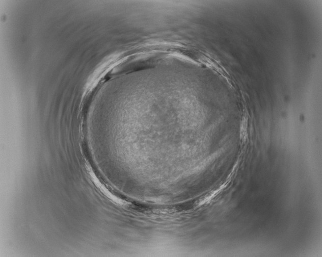 X0000053050101200507251433