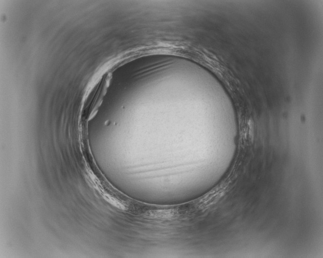 X0000053050102200507251433