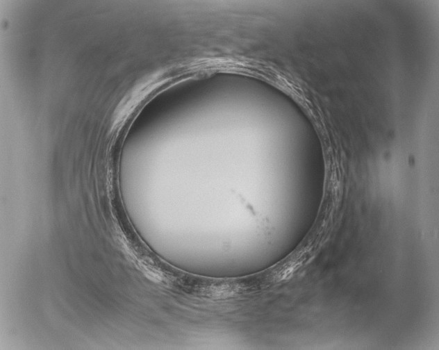 X0000053050103200507251433