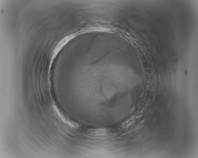 X0000053050104200507251433