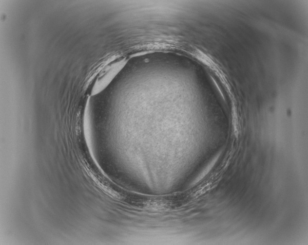 X0000053050105200507251433