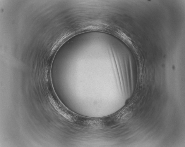 X0000053050106200507251433