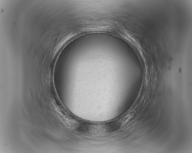 X0000053050107200507251433