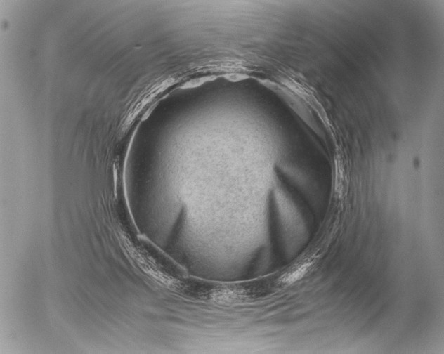 X0000053050109200507251433