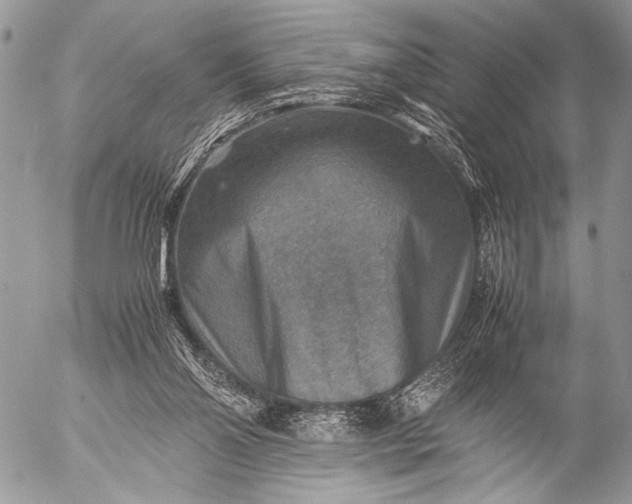 X0000053050110200507251433