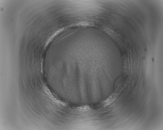 X0000053050112200507251433