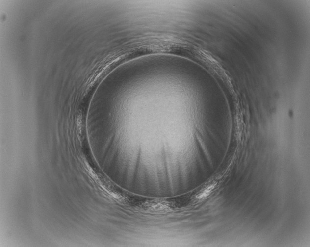 X0000053050113200507251433