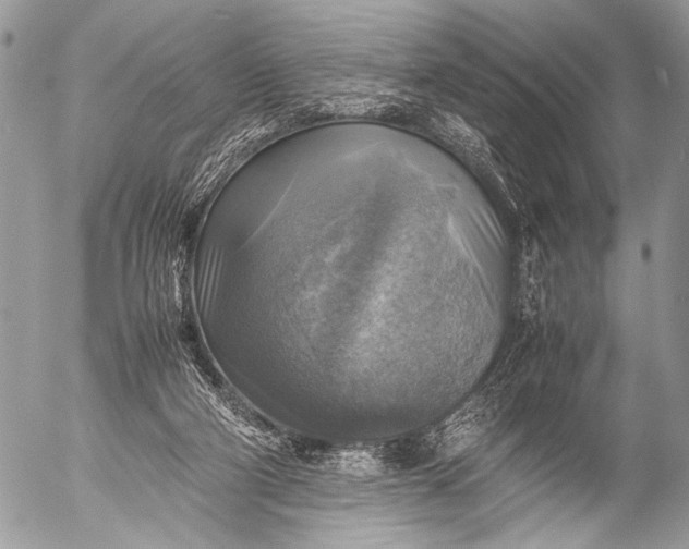 X0000053050114200507251433