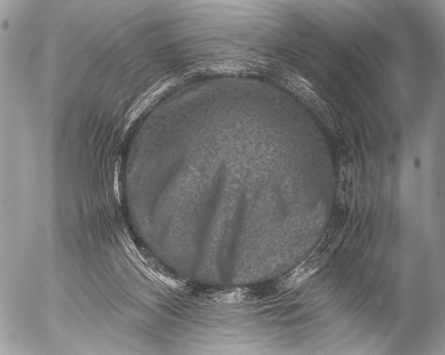 X0000053050116200507251433