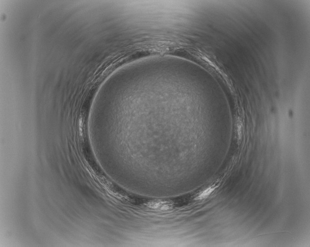 X0000053050117200507251433