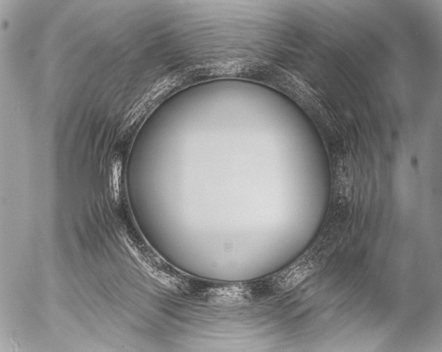 X0000053050118200507251433