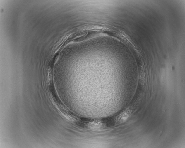 X0000053050119200507251433