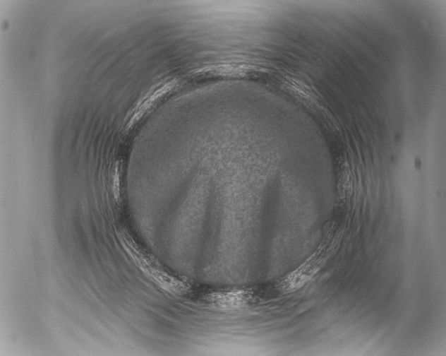 X0000053050120200507251433