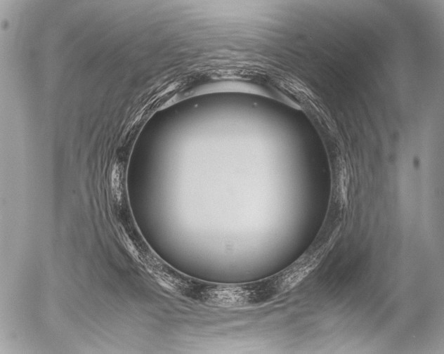 X0000053050121200507251433