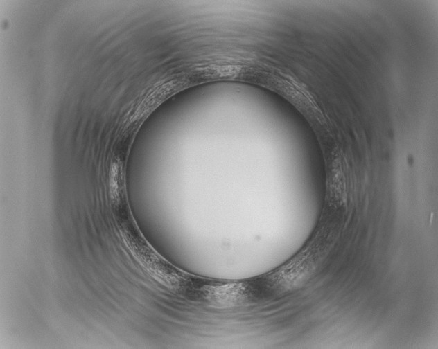 X0000053050122200507251433