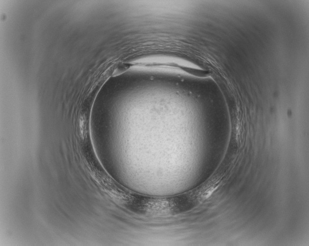 X0000053050123200507251433