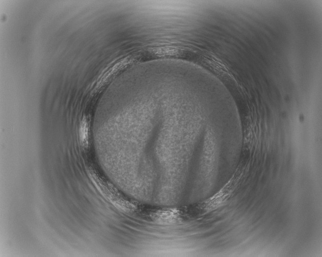 X0000053050124200507251433