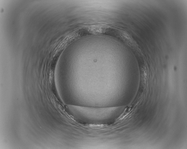 X0000053050125200507251433