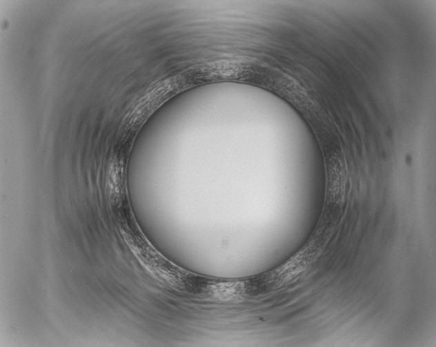 X0000053050126200507251433