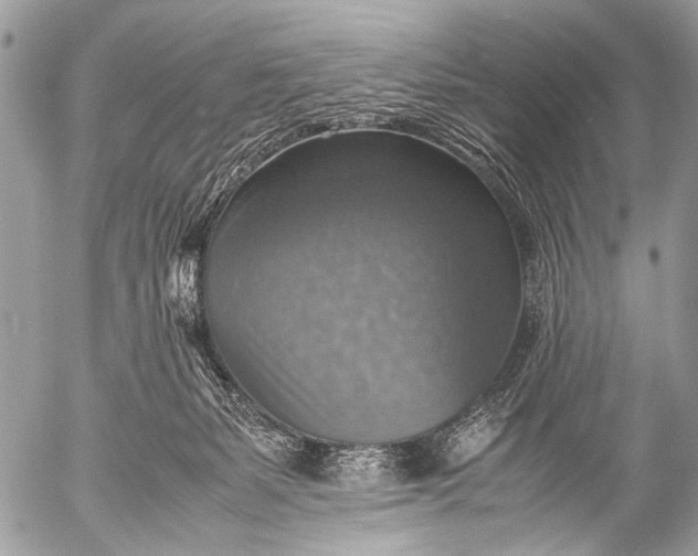 X0000053050127200507251433