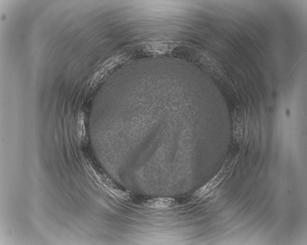 X0000053050128200507251433