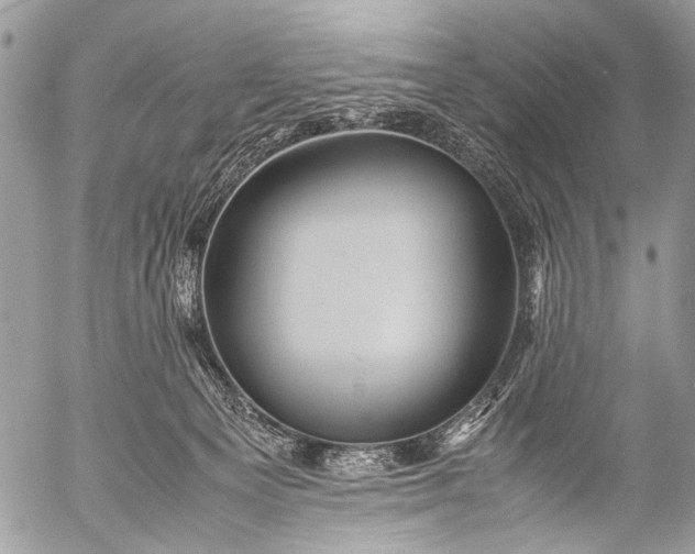 X0000053050129200507251433