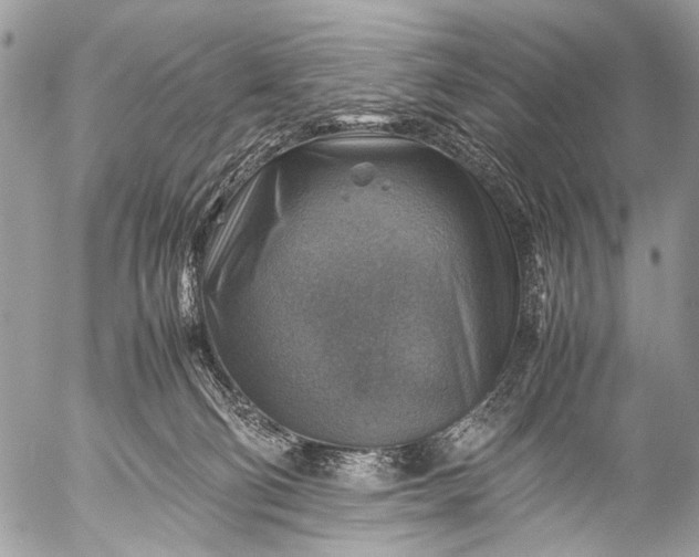 X0000053050130200507251433