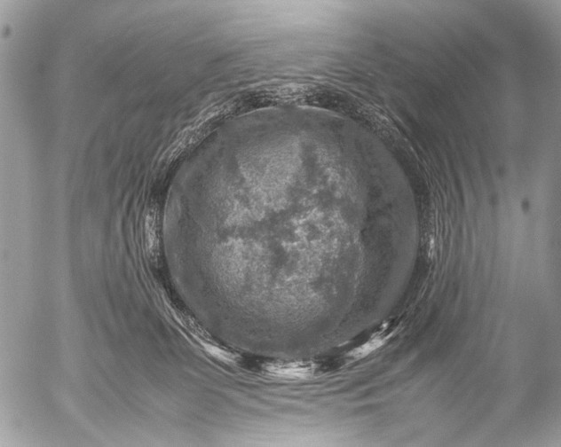 X0000053050131200507251433