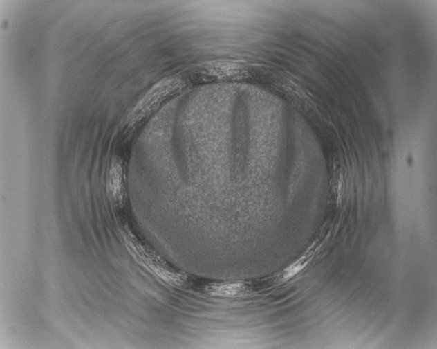 X0000053050132200507251433