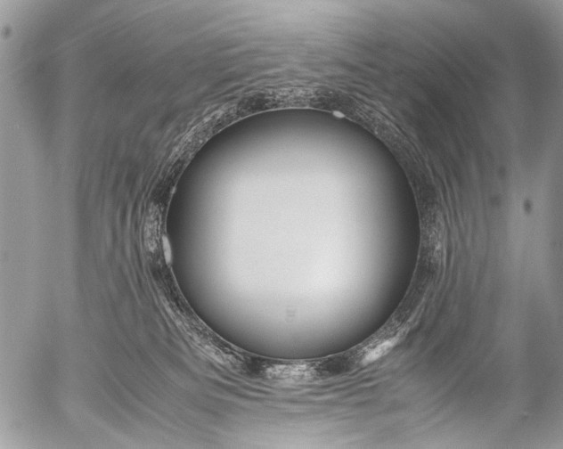 X0000053050133200507251433