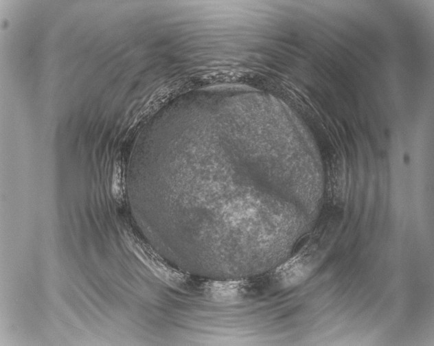 X0000053050134200507251433