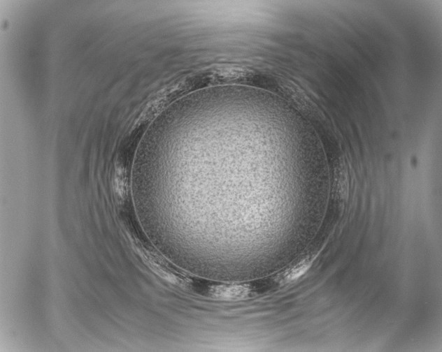 X0000053050135200507251433