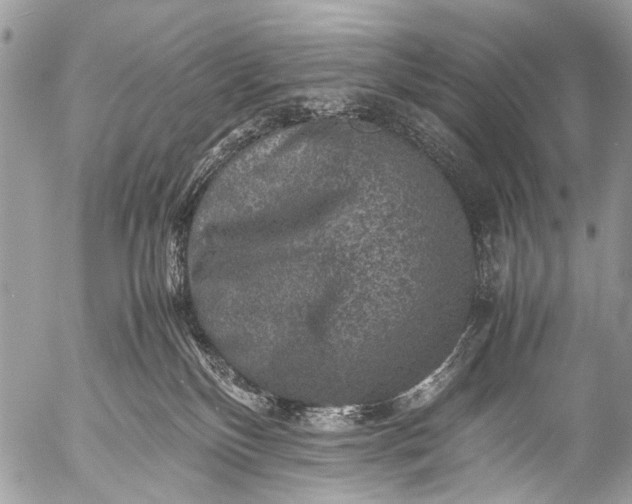 X0000053050136200507251433