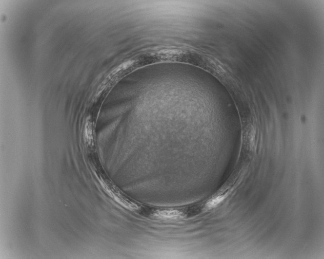 X0000053050137200507251433