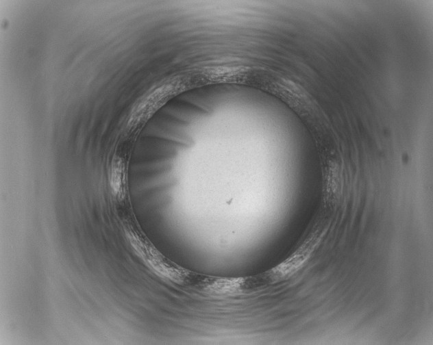 X0000053050138200507251433