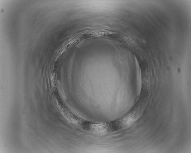 X0000053050139200507251433