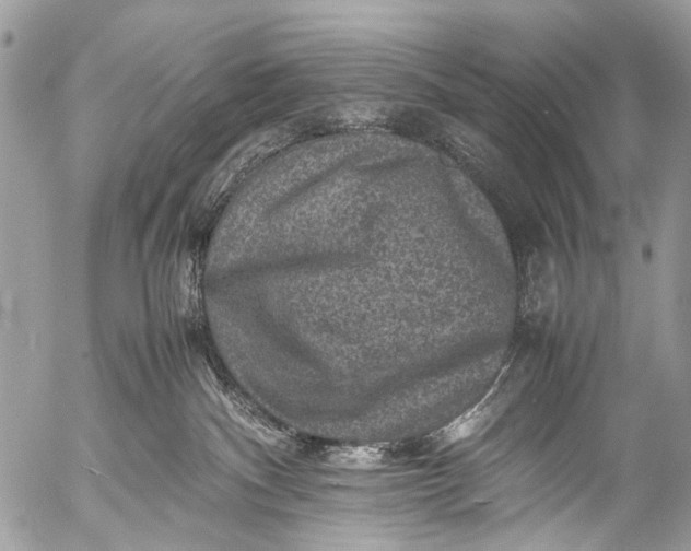 X0000053050140200507251433