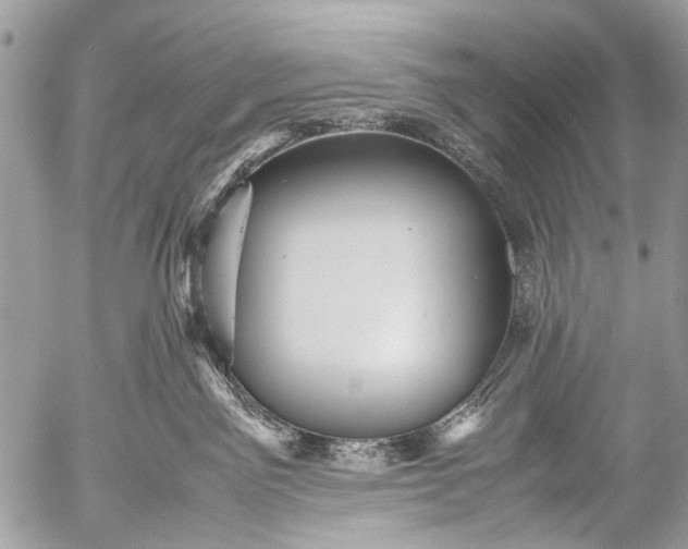 X0000053050141200507251433