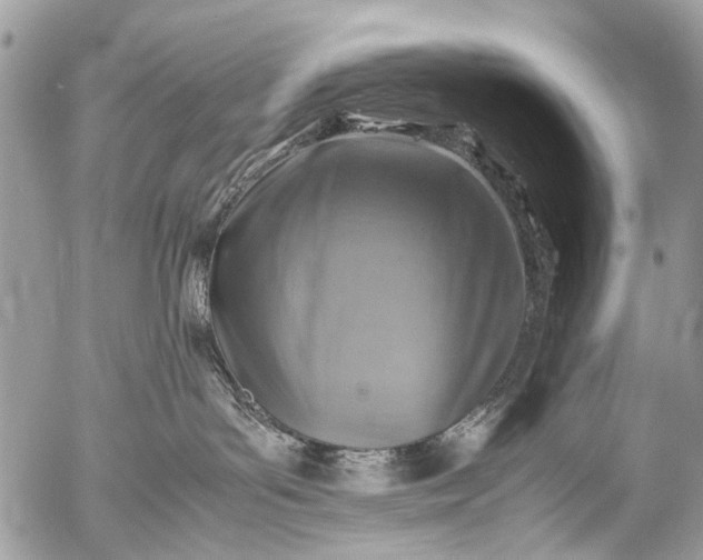 X0000053050143200507251433