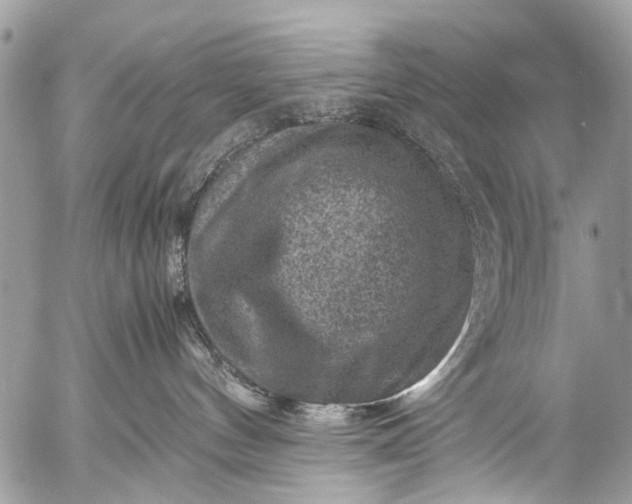 X0000053050144200507251433