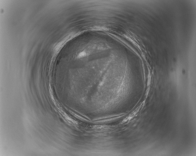 X0000053050145200507251432